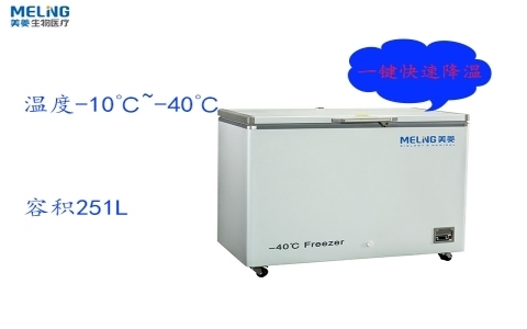 中科美菱-40℃超低溫冷凍儲存箱DW-FW251